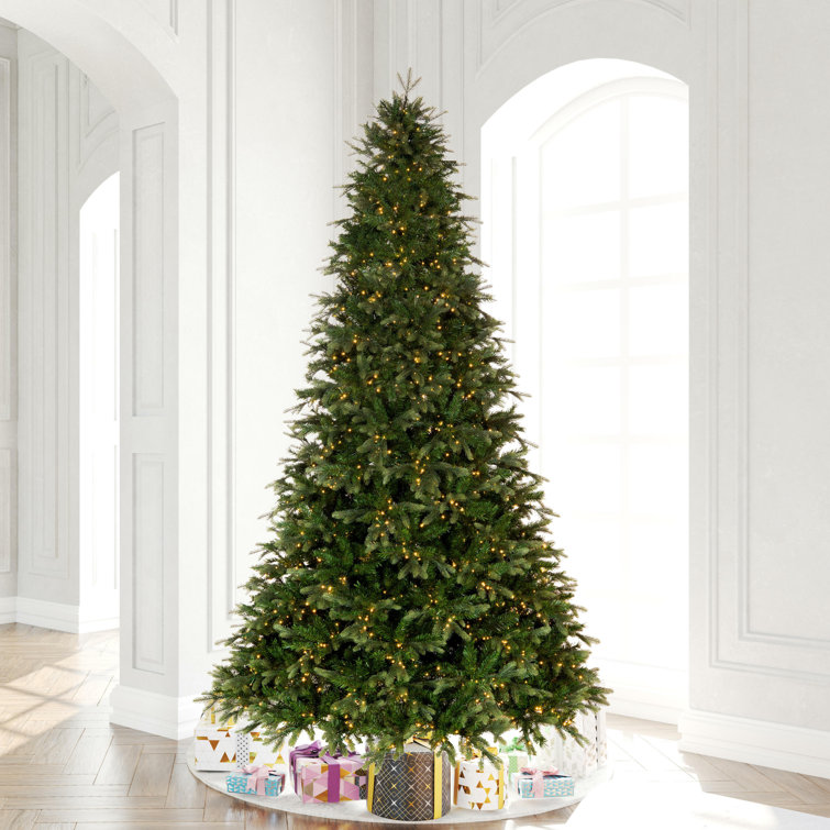 Vickerman Artificial Douglas Fir Christmas Tree & Reviews Wayfair